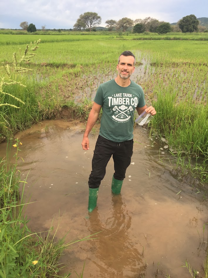 Dr. Yaron Ogen standing in a flooded rice field during soil-monitoring fieldwork in Tanzania.